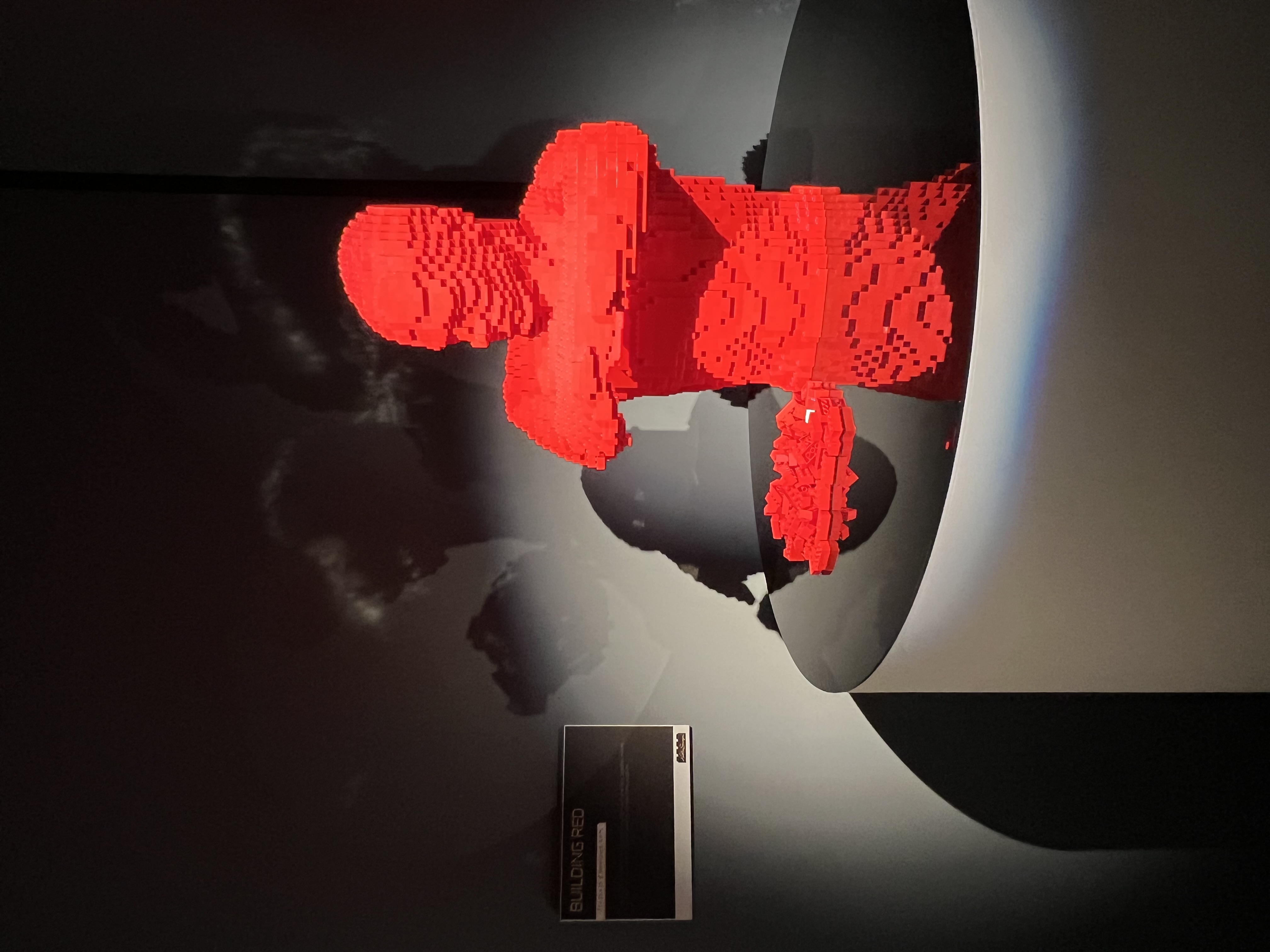 ./2023/07 - Art of the Brick/IMG_9531.JPG